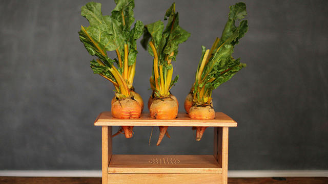 BeetBox: Play drum beats by touching actual beets