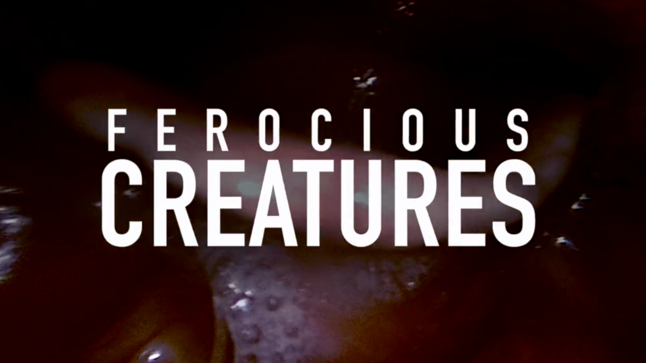 TONSTURM Releases New Sound Effects Library - Ferocious Creatures
