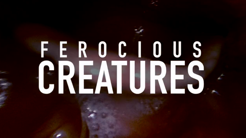 TONSTURM Releases New Sound Effects Library - Ferocious Creatures