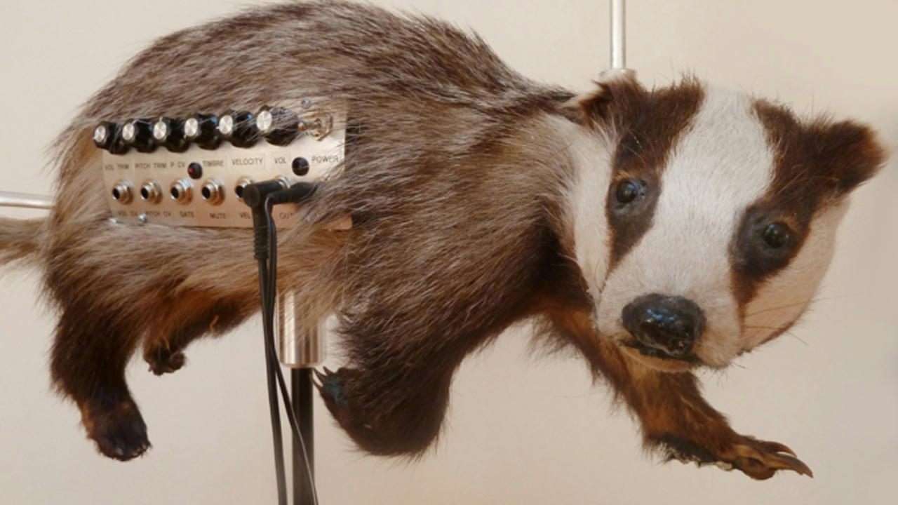 Strange and Bizarre Musical Instruments 